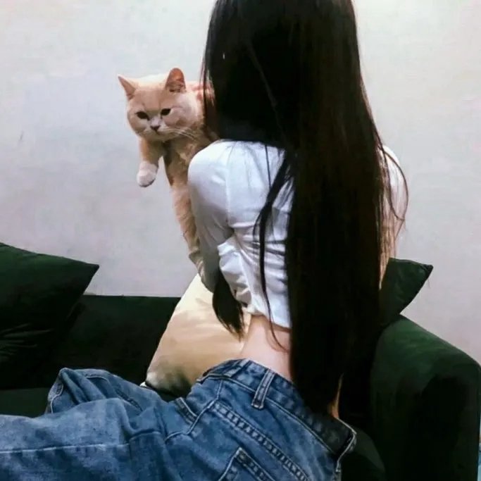 诚征老爸
